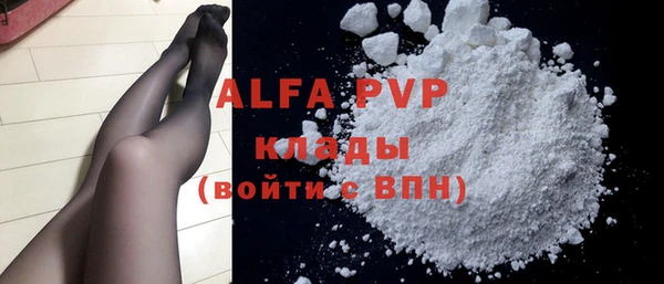 хмурый Абаза