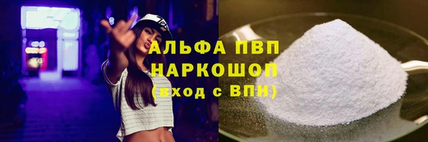 хмурый Абаза