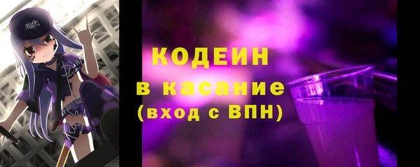 хмурый Абаза