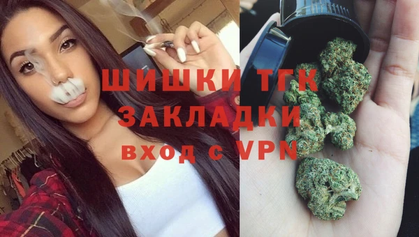 хмурый Абаза