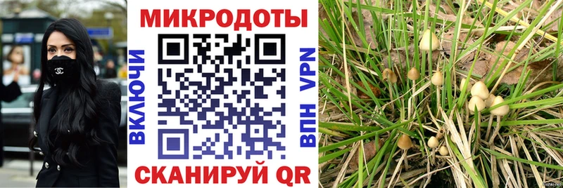 гидра   Власиха  Псилоцибиновые грибы Psilocybine cubensis 